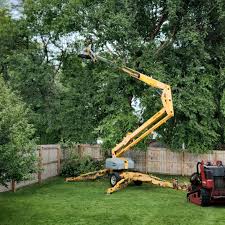 Best Soil Testing and Treatment  in Difficult Run, VA