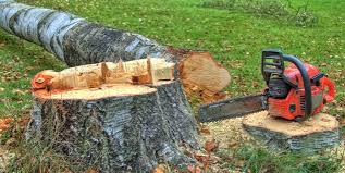 Best Firewood Processing and Delivery  in Difficult Run, VA