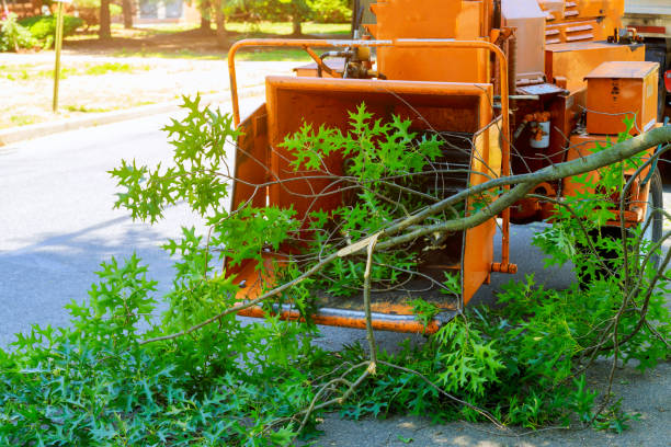 Best Artificial Turf Installation  in Difficult Run, VA