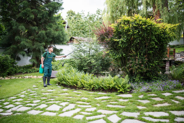 Best Tree Preservation Services  in Difficult Run, VA